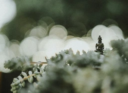 selective focus photography of Buddha statue